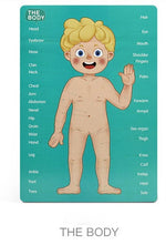 Load image into Gallery viewer, BODY MYSTERY MAGNETIC STICK - 90 pcs - بازل جسم الإنسان مغناطيسي -  90 قطعة
