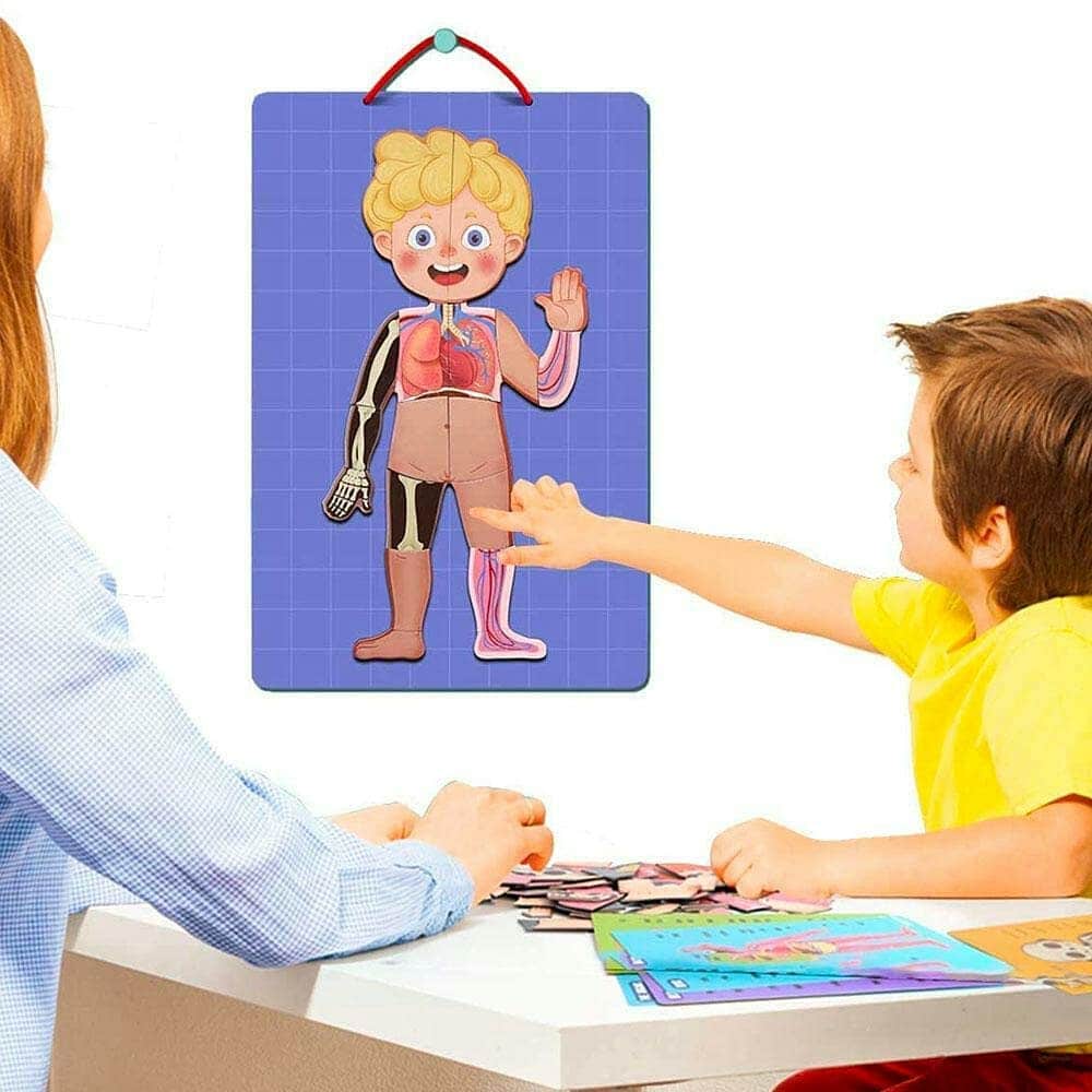 BODY MYSTERY MAGNETIC STICK - 90 pcs - بازل جسم الإنسان مغناطيسي -  90 قطعة