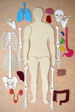 Load image into Gallery viewer, Human Body 63cm (skeleton and organs), Anatomy board, Human body Montessori science play set. - جسم الإنسان كامل 63 سم
