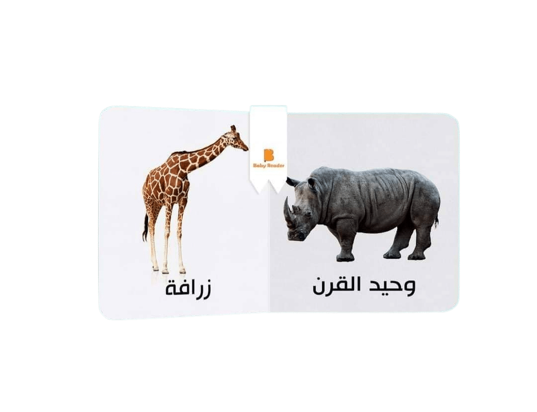 My First Book - Forest animals - Arabic Language - كتب كلماتي الأولى - المعارف الأولى - حيوانات الغابة