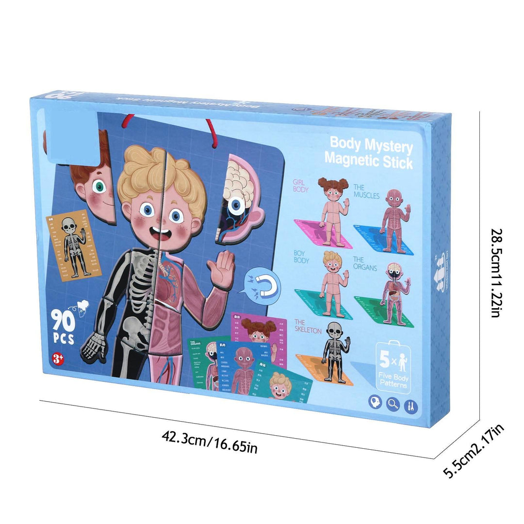 BODY MYSTERY MAGNETIC STICK - 90 pcs - بازل جسم الإنسان مغناطيسي -  90 قطعة