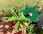 Load image into Gallery viewer, Wooden Botany Leaf Puzzle - natural wood - non-toxic - handmade  -  بازل ورق الشجر انجليزي
