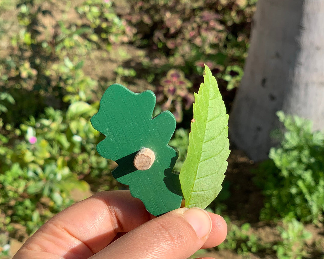 Wooden Botany Leaf Puzzle - natural wood - non-toxic - handmade  -  بازل ورق الشجر انجليزي