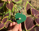 Load image into Gallery viewer, Wooden Botany Leaf Puzzle - natural wood - non-toxic - handmade  -  بازل ورق الشجر انجليزي

