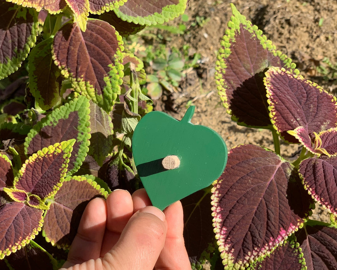 Wooden Botany Leaf Puzzle - natural wood - non-toxic - handmade  -  بازل ورق الشجر انجليزي
