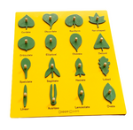 Load image into Gallery viewer, Wooden Botany Leaf Puzzle - natural wood - non-toxic - handmade  -  بازل ورق الشجر انجليزي
