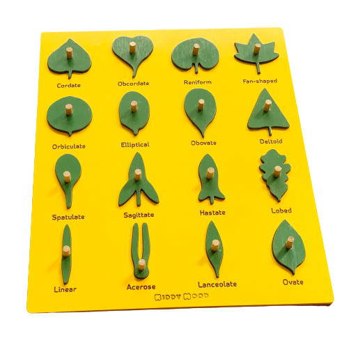Wooden Botany Leaf Puzzle - natural wood - non-toxic - handmade  -  بازل ورق الشجر انجليزي