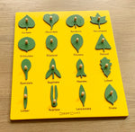 Load image into Gallery viewer, Wooden Botany Leaf Puzzle - natural wood - non-toxic - handmade  -  بازل ورق الشجر انجليزي
