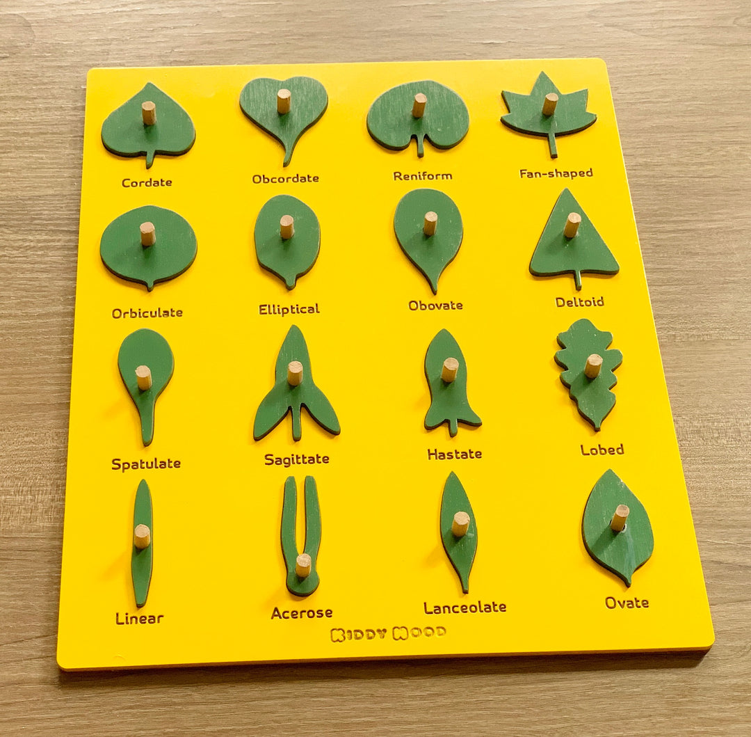 Wooden Botany Leaf Puzzle - natural wood - non-toxic - handmade  -  بازل ورق الشجر انجليزي