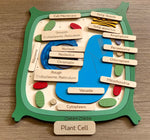 Load image into Gallery viewer, Plant cell model - natural wood - الخلية النباتية - خشب طبيعي
