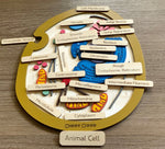 Load image into Gallery viewer, Animal cell model, natural wood - الخلية الحيوانية - خشب طبيعي
