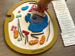 Load image into Gallery viewer, Animal cell model, natural wood - الخلية الحيوانية - خشب طبيعي
