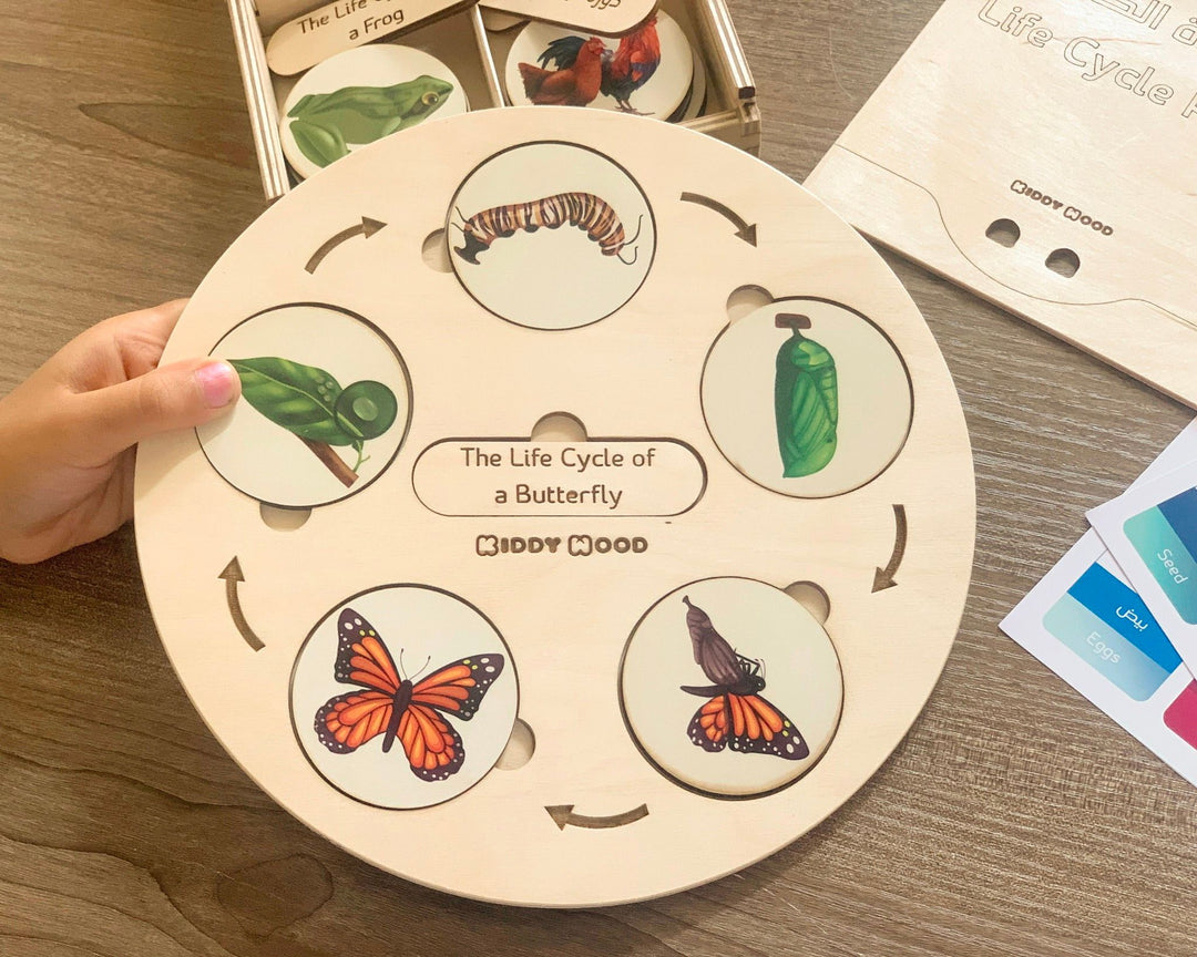 Life Cycle puzzle Board with wooden box - natural wood - non-toxic - handmade