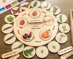 Load image into Gallery viewer, Life Cycle puzzle Board with wooden box - natural wood - non-toxic - handmade
