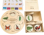 Load image into Gallery viewer, Life Cycle puzzle Board with wooden box - natural wood - non-toxic - handmade
