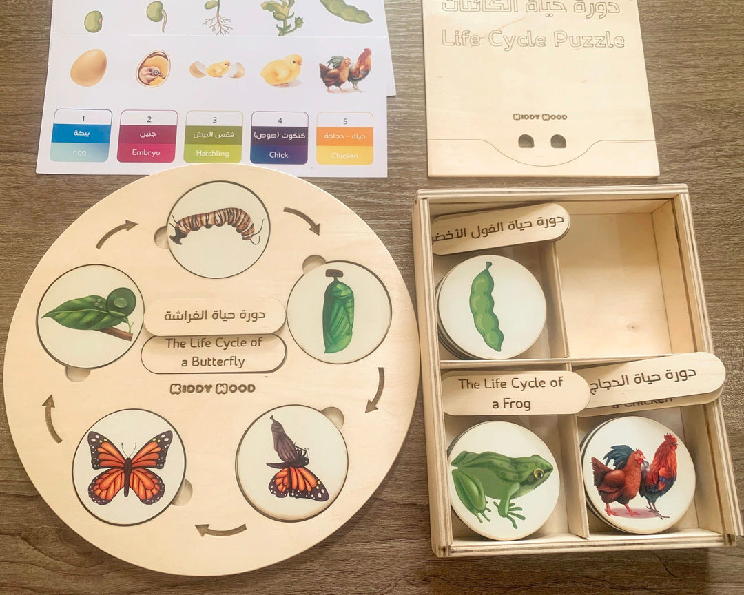 Life Cycle puzzle Board with wooden box - natural wood - non-toxic - handmade