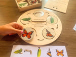 Load image into Gallery viewer, Life Cycle puzzle Board with wooden box - natural wood - non-toxic - handmade
