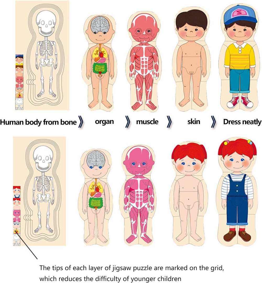 Human body wooden matching puzzle - boy