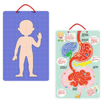 Load image into Gallery viewer, BODY MYSTERY MAGNETIC STICK - 90 pcs - بازل جسم الإنسان مغناطيسي -  90 قطعة
