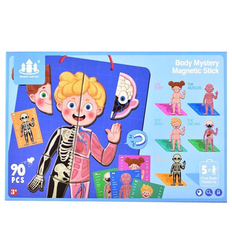 BODY MYSTERY MAGNETIC STICK - 90 pcs - بازل جسم الإنسان مغناطيسي -  90 قطعة