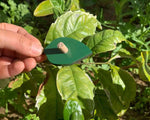 Load image into Gallery viewer, Wooden Botany Leaf Puzzle- Arabic Language - natural wood - non-toxic - handmade - بازل أوراق الشجر - عربي - خشب طبيعي
