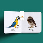 Load image into Gallery viewer, My First Book - Birds - Arabic Language - كتب كلماتي الاولى - المعارف الأولى - الطيور

