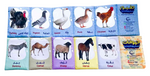 Load image into Gallery viewer, Zigzag Soft book - Animals and birds - كتاب زجزاج - حيوانات و طيور
