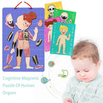 Load image into Gallery viewer, BODY MYSTERY MAGNETIC STICK - 90 pcs - بازل جسم الإنسان مغناطيسي -  90 قطعة
