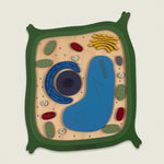 Load and play video in Gallery viewer, Plant cell model - natural wood - الخلية النباتية - خشب طبيعي

